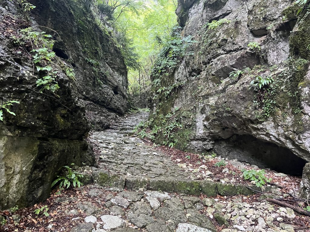Skozi sotesko